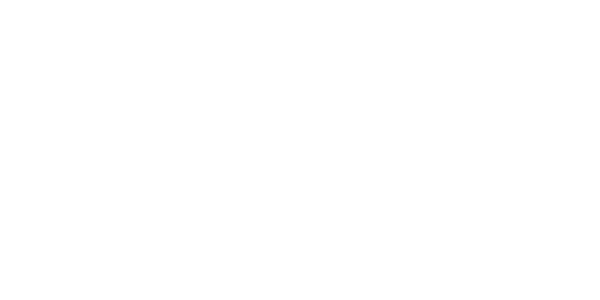 플래티넘 윈 partner logo